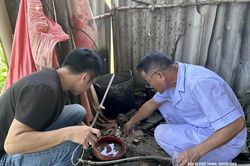 Chủ động phòng, chống dịch bệnh mùa mưa bão