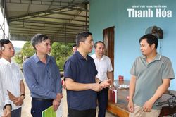 Tập trung tháo gỡ khó khăn, vướng mắc, khơi thông nguồn lực đưa Xuân Bình phát triển