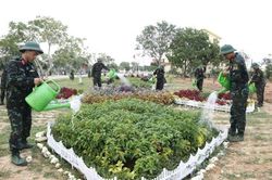 Trung đoàn 101 tham gia Hội thi 'Doanh trại chính quy, xanh, sạch, đẹp''