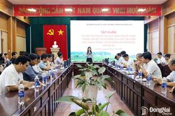 Đồng Nai tập huấn quy định mới về m&atilde; số v&ugrave;ng trồng, đ&oacute;ng g&oacute;i xuất khẩu