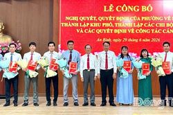 Phường An Bình: Chuyển động tích cực từ mô hình chính quyền địa phương 2 cấp