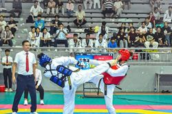 Những sinh viên tỏa sáng trên sàn đấu Taekwondo