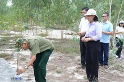 Khoanh v&ugrave;ng khu vực nghi c&oacute; hố ch&ocirc;n liệt sĩ tại di t&iacute;ch Cấm An Sơn