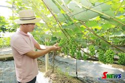 Đổi mới tư duy, nâng tầm giá trị nông sản