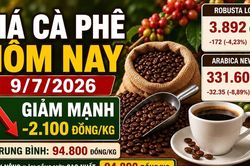 Giá cà phê hôm nay 9/7 quay đầu giảm sâu sau phiên tăng sốc
