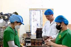 X&acirc;y dựng Li&ecirc;n minh Hợp t&aacute;c x&atilde; tỉnh ng&agrave;y c&agrave;ng vững mạnh