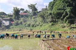 Ban CHQS xã Nậm Lầu luôn sát cánh cùng dân