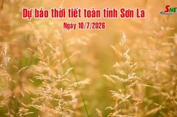 Dự báo thời tiết toàn tỉnh Sơn La ngày 10/7/2026
