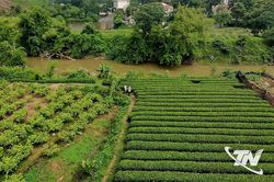 Điểm tựa giúp người dân vượt qua thiên tai