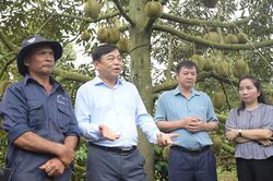 Gỡ khó cho xuất khẩu nông sản