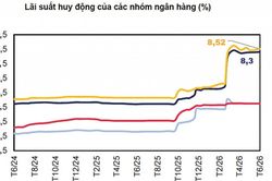 Lãi suất khó hạ sâu, giữ nhịp điều hành hợp lý trước nhiều biến số