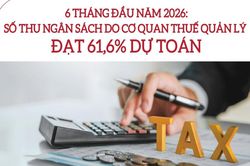 Infographics: Thu ngân sách 6 tháng do ngành Thuế quản lý ước đạt hơn 1.382.330 tỷ đồng