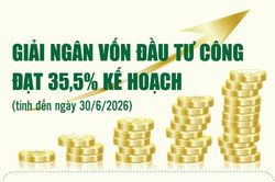 Infographics: Giải ngân vốn đầu tư công 6 tháng đạt 356.935,1 tỷ đồng