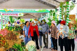 Đồng Tháp: Nhiều điểm sáng trong phát triển kinh tế - xã hội