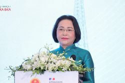 Phó Chủ tịch Quốc hội Nguyễn Thị Thanh dự Hội nghị cấp cao Việt Nam - Pháp