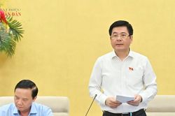 Cơ chế đặc thù cần bảo đảm sự nghiêm minh, thấu tình, đạt lý