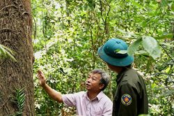 'Báu vật' giữa đại ngàn Trường Sơn