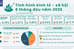 Số liệu kinh tế 6 tháng đầu năm 2026