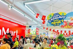 Nhiều mặt hàng vẫn neo cao dù giá xăng dầu giảm mạnh