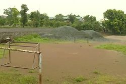 Hà Nội: Sớm đưa đất nông, lâm trường vào sử dụng hiệu quả