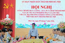 Quyết tâm bàn giao mặt bằng đất nông, lâm trường trước 30/8