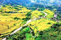 Sẵn sàng khởi tranh giải đua xe đạp 'Vút bay trên sóng lúa vàng' Mường Bo