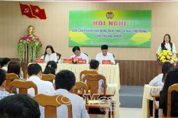 Tăng cường hỗ trợ, giúp nông dân thích ứng với yêu cầu phát triển mới
