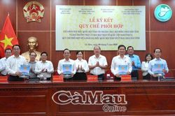 Nâng cao hiệu quả phối hợp giữa các cơ quan trong hệ thống chính trị tỉnh