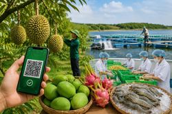 Tăng giám sát cộng đồng, xóa bỏ tình trạng 'rau hai luống, lợn hai chuồng'