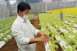 Dự án trong khu nông nghiệp ứng dụng công nghệ cao được hưởng ưu đãi gì?