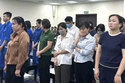 Số hóa cấp phép y tế có ngăn được tình trạng hợp thức hóa hồ sơ?
