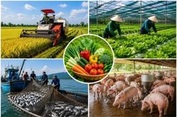 Hướng tới 100% cơ sở sản xuất nông lâm thủy sản tuân thủ an toàn thực phẩm