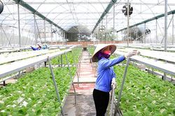 Sản xuất nông nghiệp 6 tháng đầu năm 2026: Giữ vững đà tăng trưởng, tạo nền tảng cho phát triển xanh