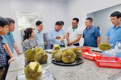 Sửa đổi Nghị định 38: Gỡ điểm nghẽn, giảm thủ tục để n&ocirc;ng sản Việt tăng sức cạnh tranh