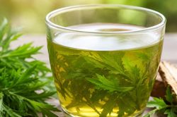 Có nên uống nước lá đinh lăng thay nước lọc hàng ngày?