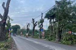 Dự án đường 70 qua Xuân Phương, Hà Nội: Hàng loạt cây xanh, nhà xưởng được dỡ bỏ