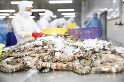 Đổ xô xuất khẩu lao động, doanh nghiệp Việt 'đỏ mắt' tìm người