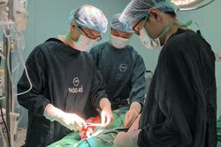 Hôn mê, lâm bạo bệnh sau khi nhổ răng khôn