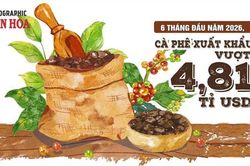 Xuất khẩu cà phê 6 tháng đầu năm 2026 vượt 4,81 tỉ USD