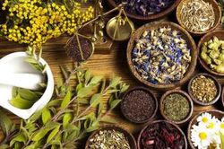 Phát huy vai trò của y học cổ truyền trong chăm sóc, nâng cao sức khỏe Nhân dân