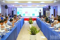 Liên kết kinh tế tuần hoàn giữa tôm Cà Mau, lúa Đồng Tháp và cà phê Đắk Lắk