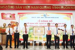Đ&agrave; Nẵng: Nghĩa trủng G&ograve; Đồ nhận Bằng xếp hạng di t&iacute;ch cấp th&agrave;nh phố