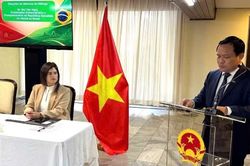 Việt Nam-Brazil thúc đẩy hợp tác kinh tế thực chất, hiệu quả, cân bằng và bền vững
