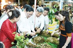 Đà Nẵng: Đưa 'quốc bảo' Sâm Ngọc Linh xuống phố