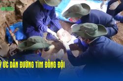 Ký ức dẫn đường tìm đồng đội
