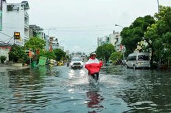 Tăng cường công tác phòng, chống thiên tai trên địa bàn TPHCM