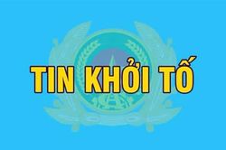 Hà Tĩnh: Khởi tố 2 lãnh đạo công ty vàng bạc về hành vi trốn thuế