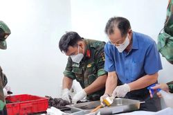 Tìm thấy thêm 13 bộ hài cốt liệt sĩ tại Công viên Lê Thị Riêng