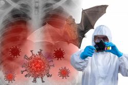 Phát hiện mới lý giải cách virus từ dơi lây sang người