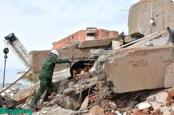 Đo&agrave;n c&ocirc;ng t&aacute;c Việt Nam ho&agrave;n th&agrave;nh nhiệm vụ t&igrave;m kiếm, cứu hộ, cứu nạn tại Venezuela